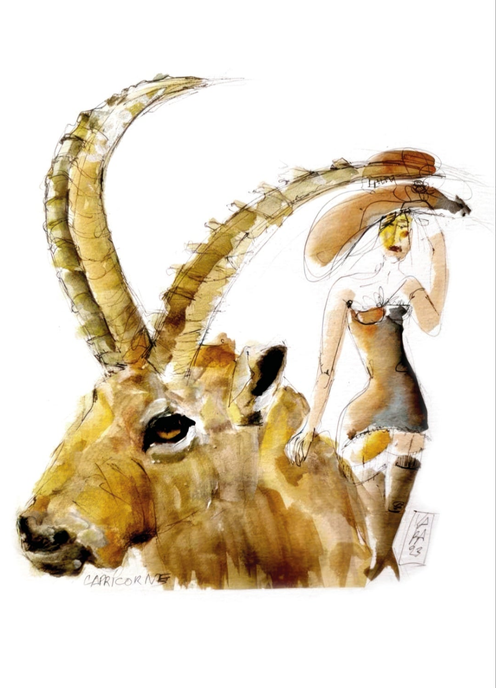 Capricorne