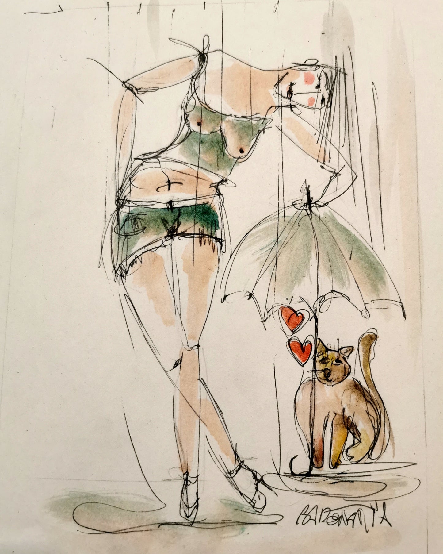 le chat