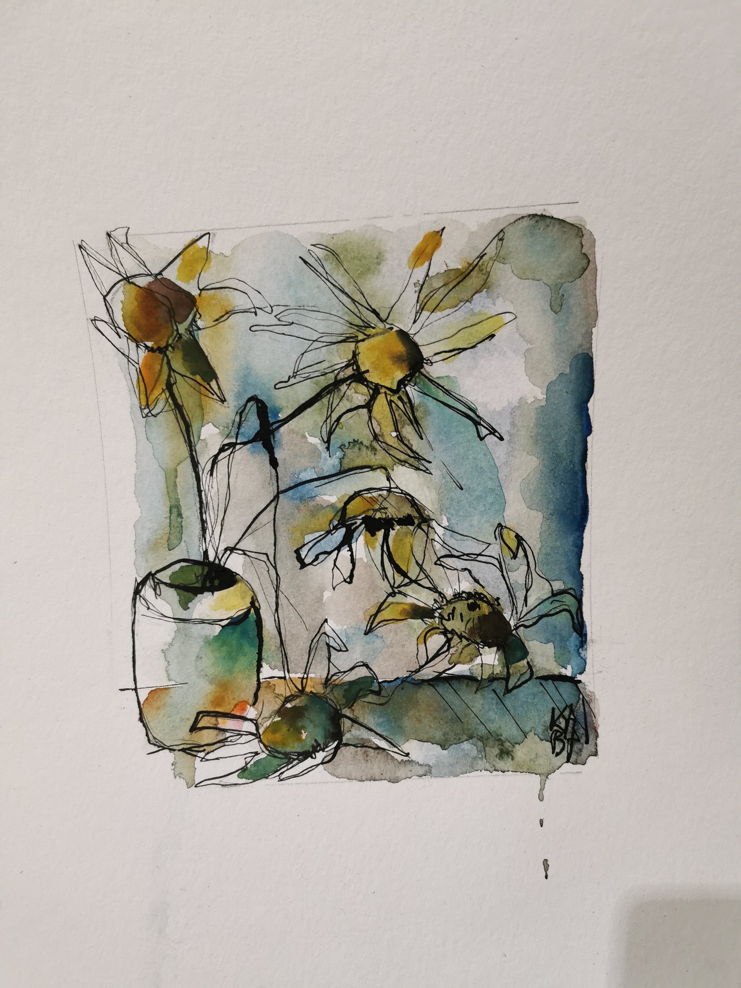 Tournesols